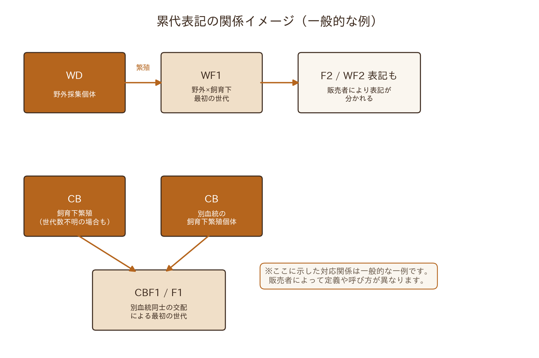 オオクワガタ累代表記の関係イメージ